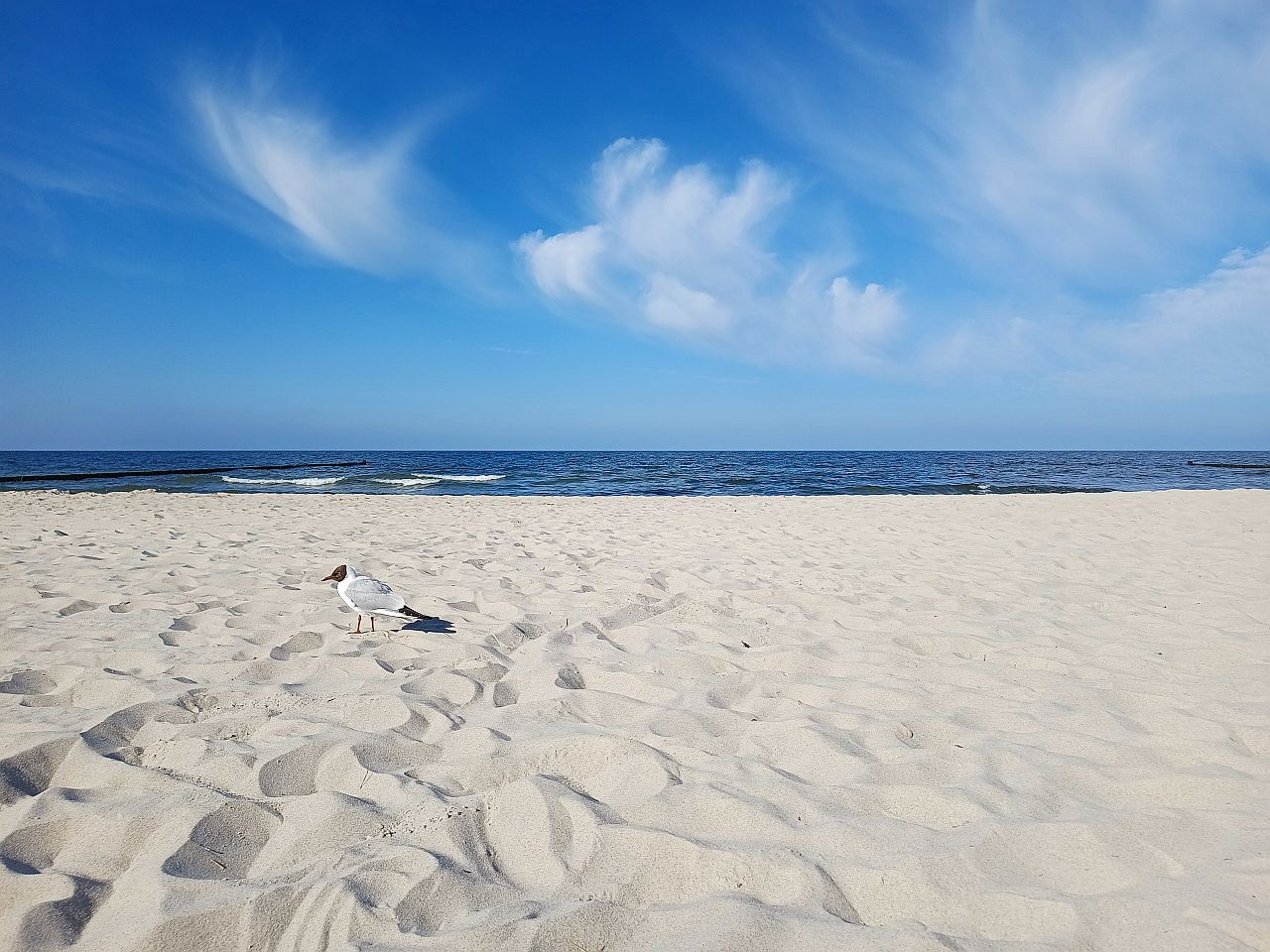 corinnatelkamp-strand